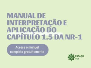 MANUAL DE INTERPRETAÇÃO E APLICAÇÃO DO CAPÍTULO 1.5 DA NR-1